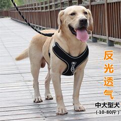 中型犬と大型犬の犬の散歩用リード、防爆、反射、通気性、調節可能なハーネス、ベストスタイルの犬の散歩用リード、犬用リード