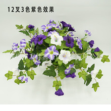 ���R�d�������12�^��ţ�����Ȼ��ْ����컨�Ҿӑ��⻨�@�̨�b�