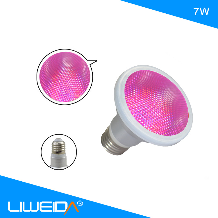 Һ7W PAR20ȶԴݿڵLEDƲPAR
