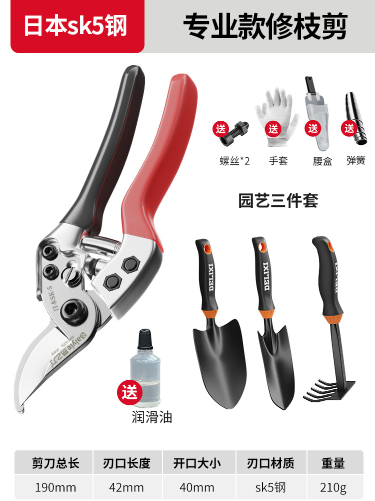 Tijeras de rama de fruta Yizili tijeras de jardín de primavera SK5 hoja de acero tijeras de jardinería doméstica tijeras de podar Bonsai de jardín al por mayor