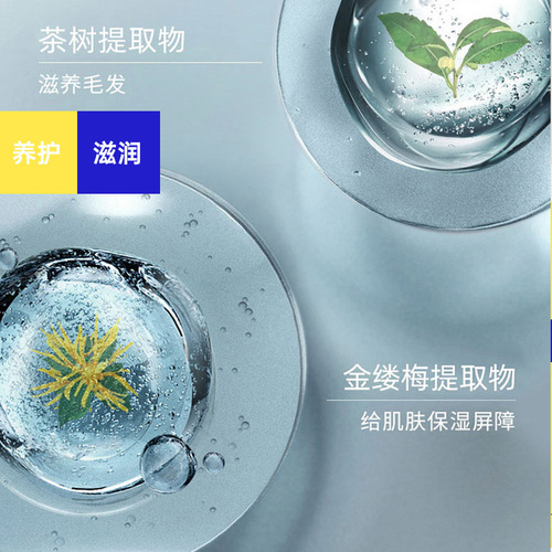 Pet Wash-Free Gloves Single Pack Cat and Dog Pet Wet Wipes Dry Cleaning Deodorizing Wash-Free Gloves