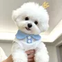 薄款翻领源头幼犬背心