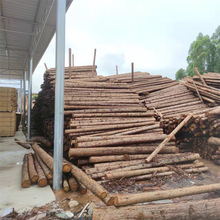 实木床板实木床木方床板工程沙发绿化板材香杉木支撑实木杉木