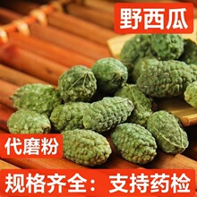 野西瓜 中药材 野西瓜 老鼠瓜 勾刺槌果藤 抗旱草