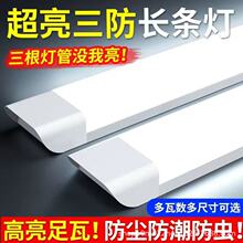 led�L�l���l�γ����չ��ȫ��һ�w�����������������k������x