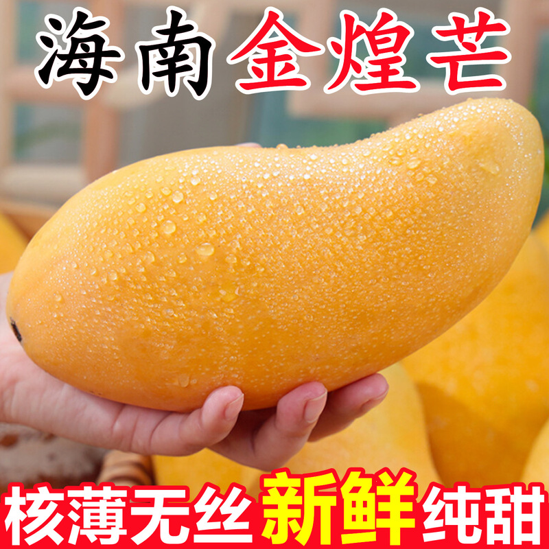Authentic Hainan Golden Mango, Fresh 5kg Seasonal Golden Mango, Narcissus Mango, Tropical Fruit for Pregnant Women, Whole Box Authentic Hainan Golden Mango, Fresh 5kg Seasonal Golden Mango, Narcissus Mango, Tropical Fruit for Pregnant Women, Whole Box
