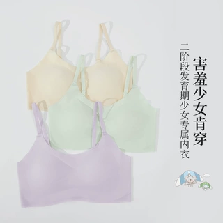 合升隆2024新款二阶段少女发育期内衣细肩带无痕半固定杯少女文胸