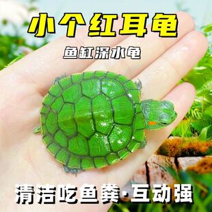 �W�t����t�������^�p��������ĸ��ؔ���L����ˮ���~�׻��B���~�S