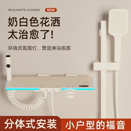 卫浴置物架;吸盘毛巾架;衣钩/挂钩