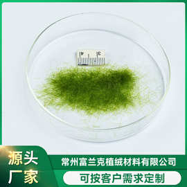 厂家批发苔藓绒毛 各类草坪草皮仿真绒毛供应 规格多样价格优惠