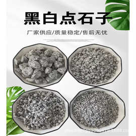 芝麻灰花岗岩碎石市政铺路骨料园林庭院造景石子厂家现货批发