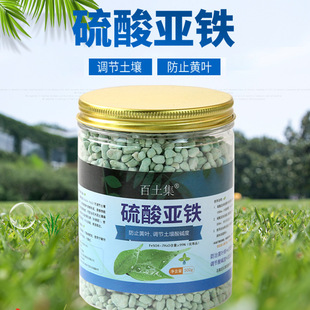 Factory wholesale ferrous sulfate anti-yellow leaf Xi acid plant adjustment soil pH water soluble fertilizer household fertilizer