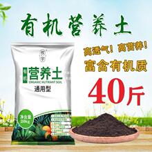 �N��ͥԺ�@ˇ�������Y���P���@��ɏ���ԠI�B����̖��������Ʒ