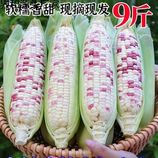 武汉振辞商贸有限公司