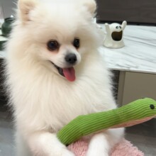 ����߷��涺è����èè�����¿���������ƷС��߳���ֱ������