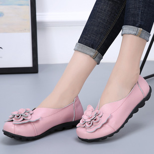 2025���Q�����¿����ţƤ��������Ь44�aƽ�׻���͸�����Ů��Ь