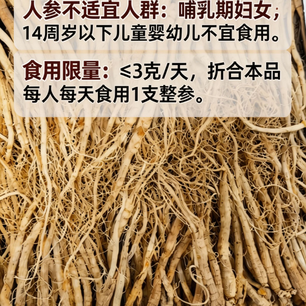 Sun-Dried Ginseng Root Dried Whole Small Ginseng for Slicing Soup Tea and Wine in use