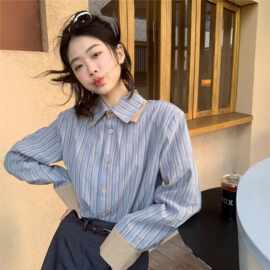 蓝色条纹长袖衬衫女春秋季设计感小众秋装上衣法式高级感衬衣内搭