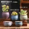 5 warm star flower pots