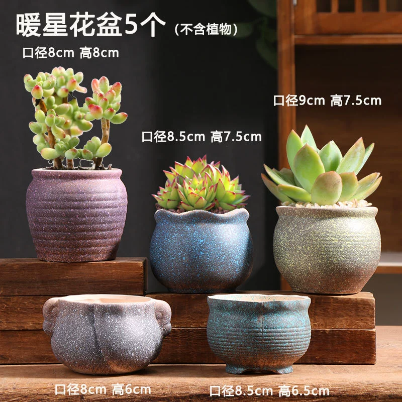 Creative Ceramic Flower Pot, Handmade Factory Direct, Assorted Decorative Designs, Small 7–10 cm