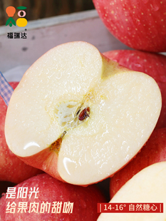 ��̨�t��ʿ�O��10�����������rˮ������ɽ�|��ϼ��������ĳ�ƽ��