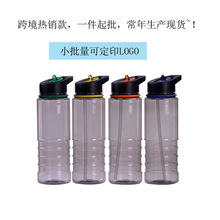 批发跨境创意水杯 便携塑料杯 带提手吸嘴吸管运动水壶可印logo