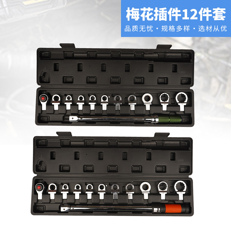 厂家直销扭力扳手组套汽修修理梅花插件12件套可换头扭矩工具