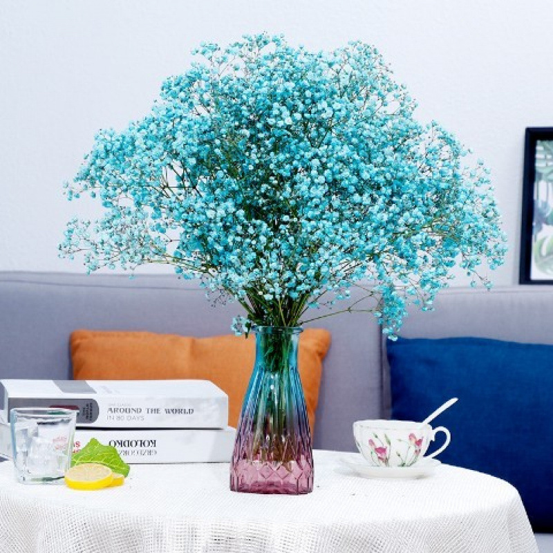 하늘색 안개꽃 - 꽃병 없음