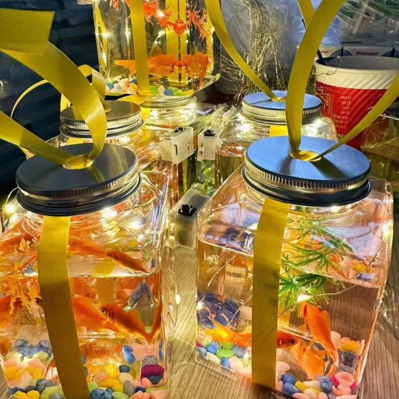 항아리 수조 [항아리 + 수생식물 + 리본 + 램프 + 컬러스톤] (따뜻한 램프 스타일)✦✦