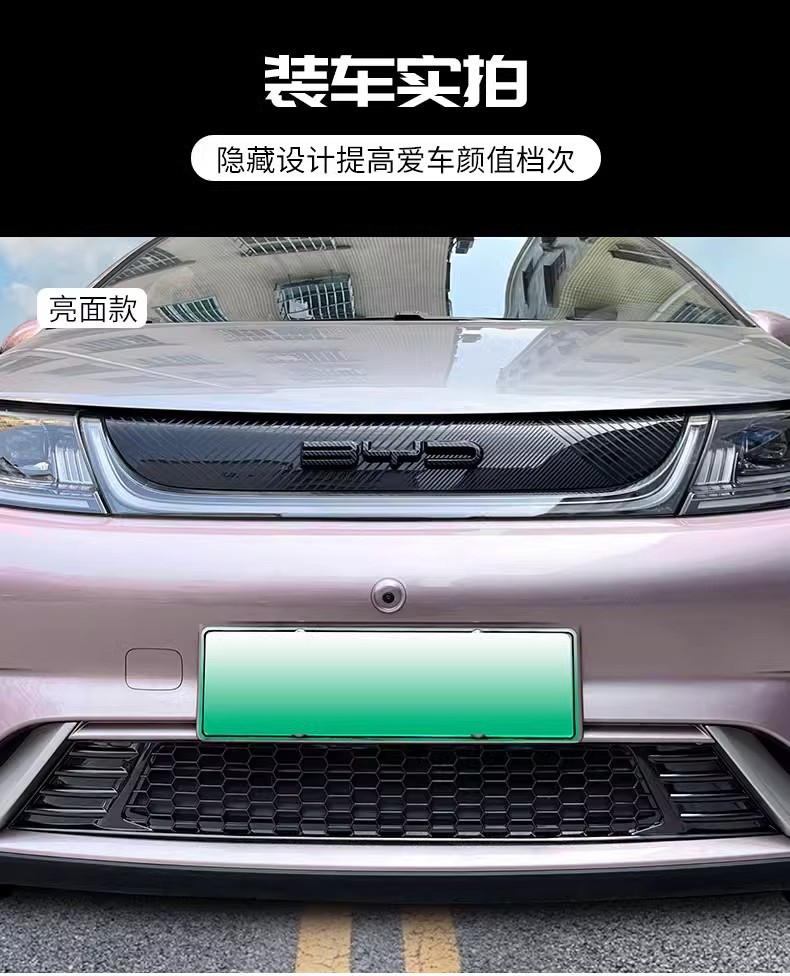 Suitable for BYD Dolphin Insect Net Middle Net New BYD Air Inlet Protective Cover Front Block Modified Black Technology