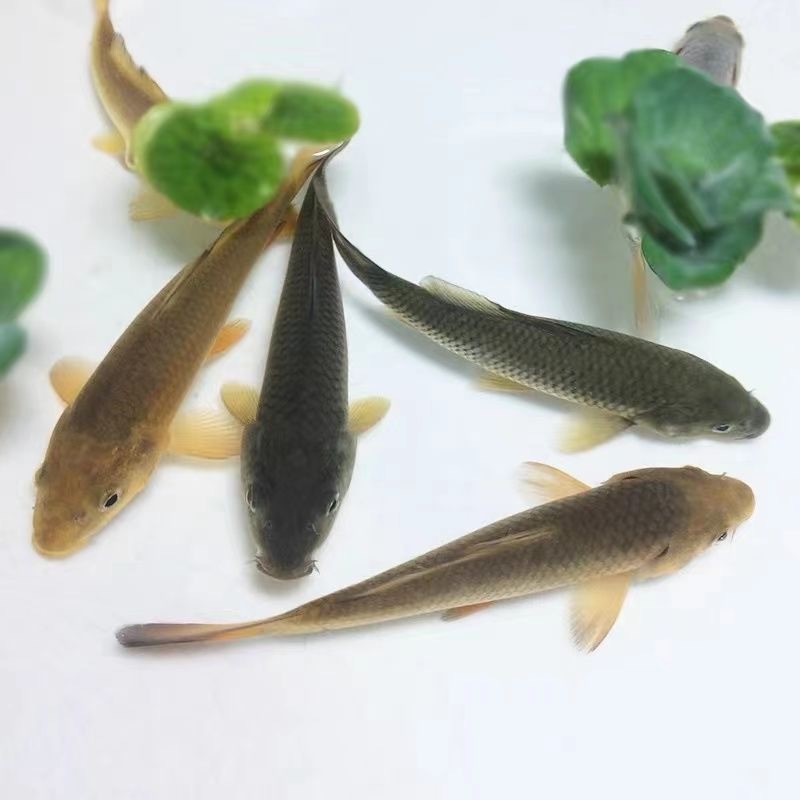 a3e688d1-d13a-4eee-a7e0-c83b13af1b87.jpe