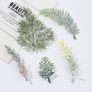 ����Gֲ���DIYֲ�����Ԕ[���͏d����ƙ��b�Ʒ΢���^�辰����