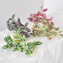 ����Сֲ���쾰22��������ü�~�Gֲ�����ٗl�ڒ������ü�~Сֲ��