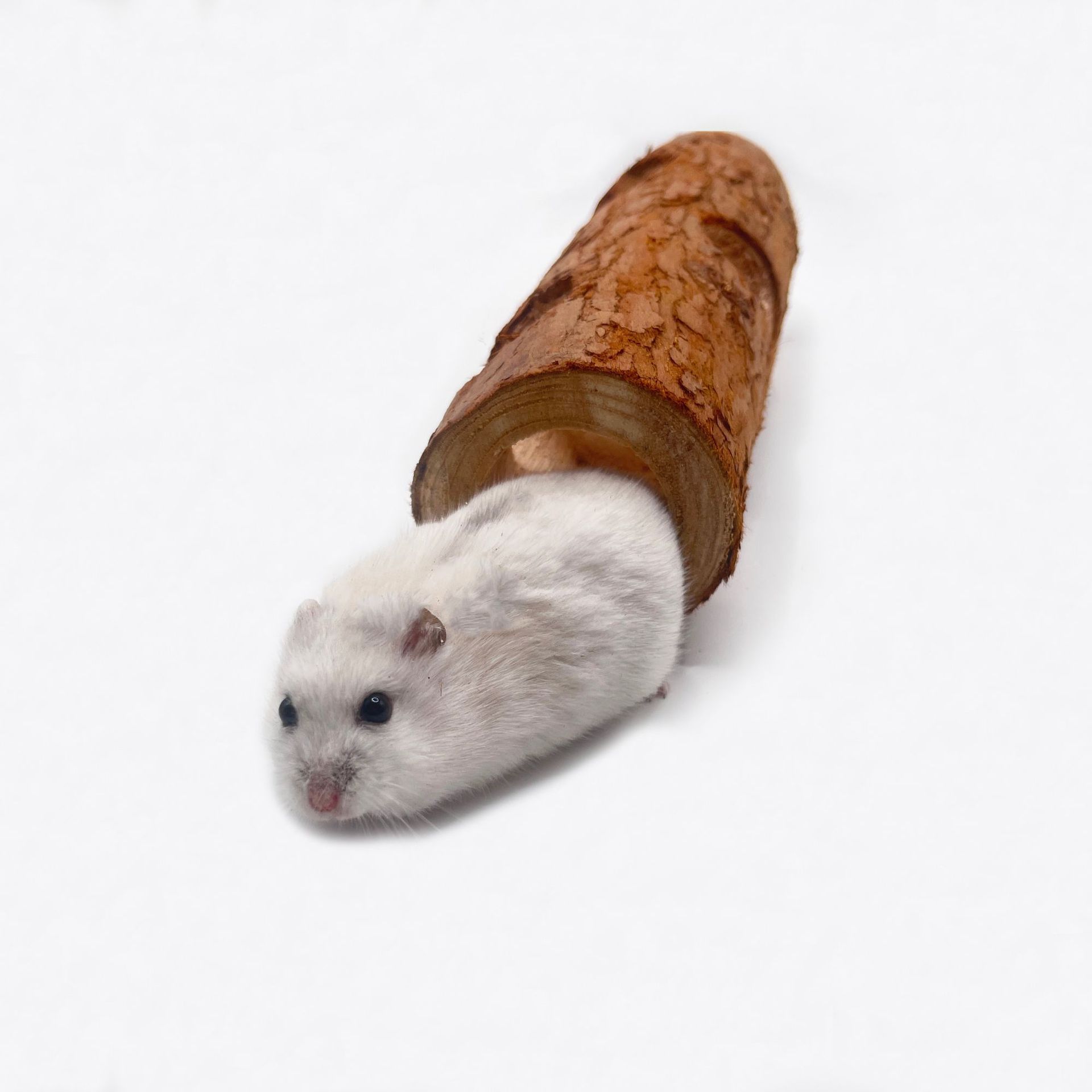 Pequeño juguete para mascotas hámster canal de madera maciza tubo de árbol túnel de escape de agujero de árbol Oso de Oro pájaro de escape juguete de entrenamiento