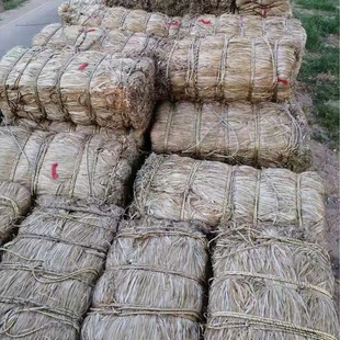 �������m�ӿ��p�@�S��z�����K����Ƥ����z���龎���ܷ��S��һ��