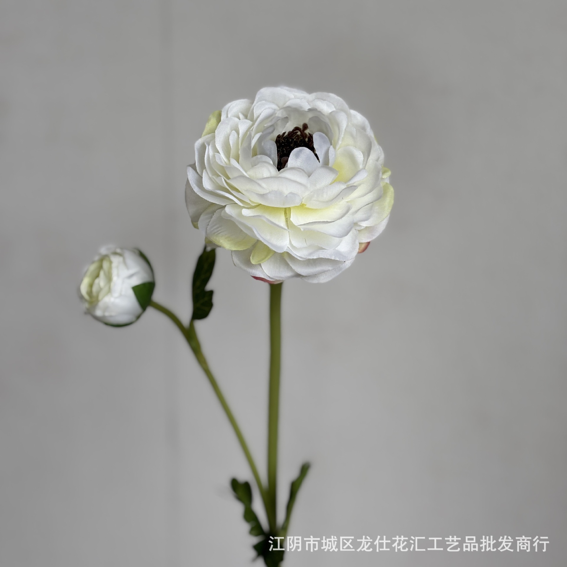 2개의 머리가 있는 시뮬레이션된 연꽃