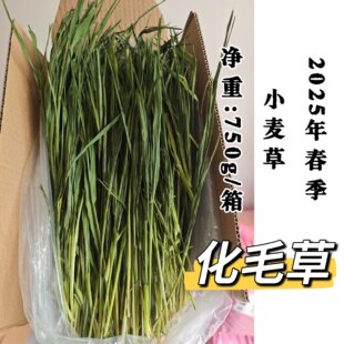 ���]750g���غ��С���������������������A��ë��֢��ë��ë