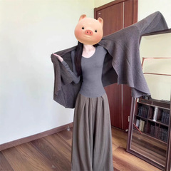 灰色修身长袖t恤女2025新款V领上衣秋冬内搭打底衫早秋天韩系穿搭