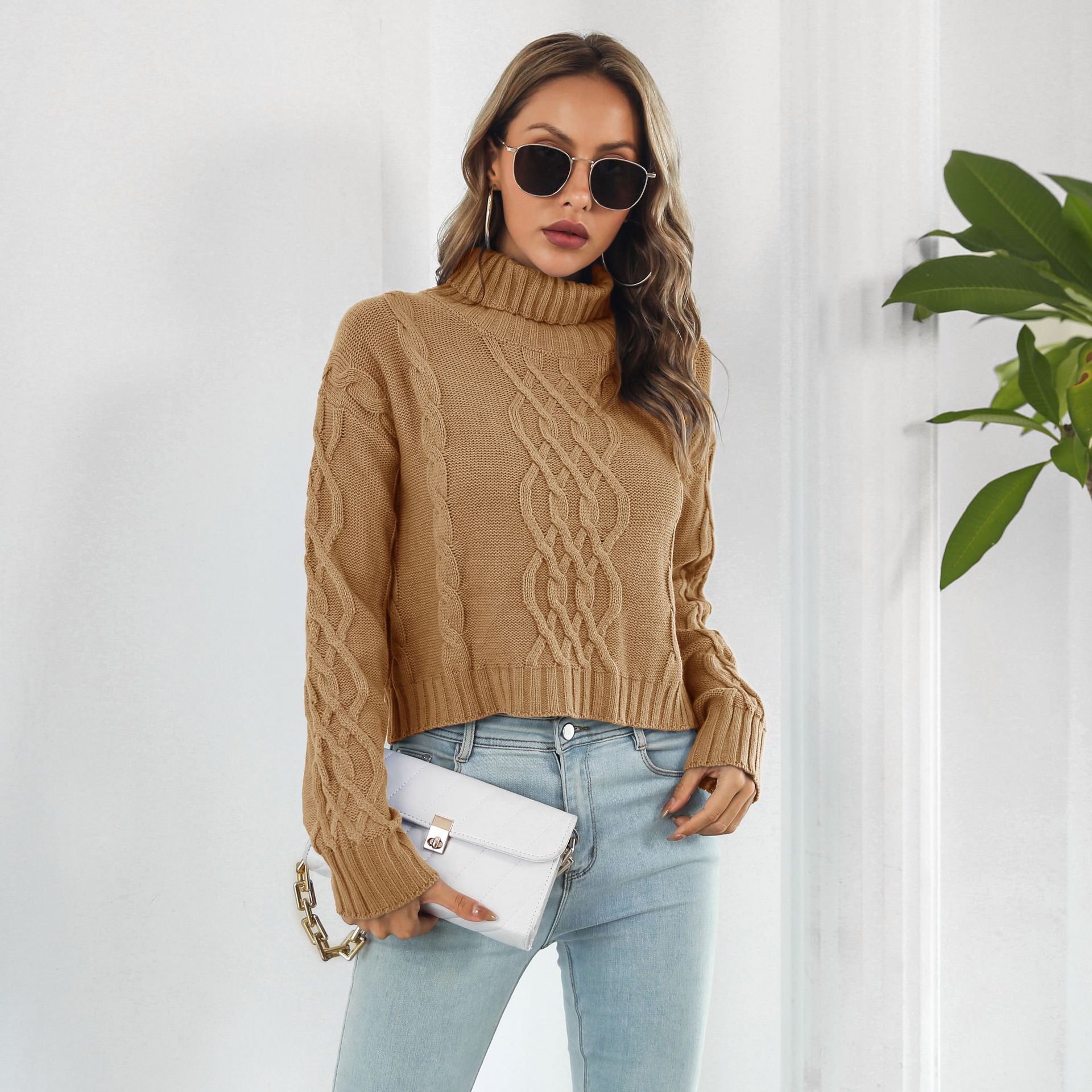 Knit Turtleneck Short Sweater Women Loose Autumn Winter Long Sleeve Sweater Sweater