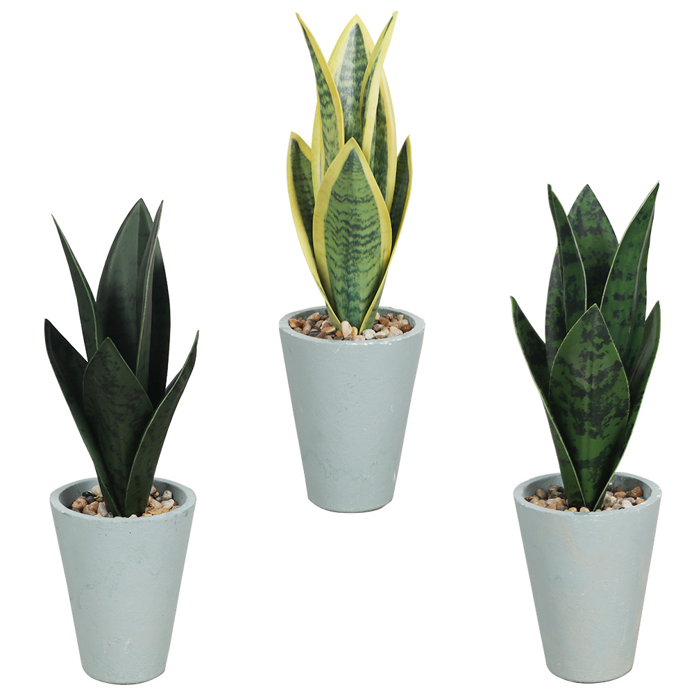 Simulación transfronteriza de bonsái de pulpa de Copa azul de piel de tigre de alta gama decoración creativa de flores macetas de simulación de plantas verdes artificiales