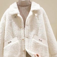羊羔毛绒皮毛一体外套女2024新款秋冬季韩版短款颗粒绒小个子大衣