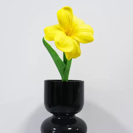 yellow brownie tulip