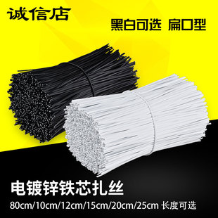 0.55/0.75mm Plastic-Coated Iron Wire Ties, Electric Galvanized Grape Branch Binding Strips, Gardening Ties