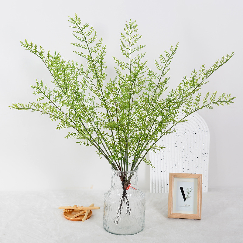 天門竹 文竹 霧凇新中式家居樣板間裝飾境外婚慶直播攝影道具葉材