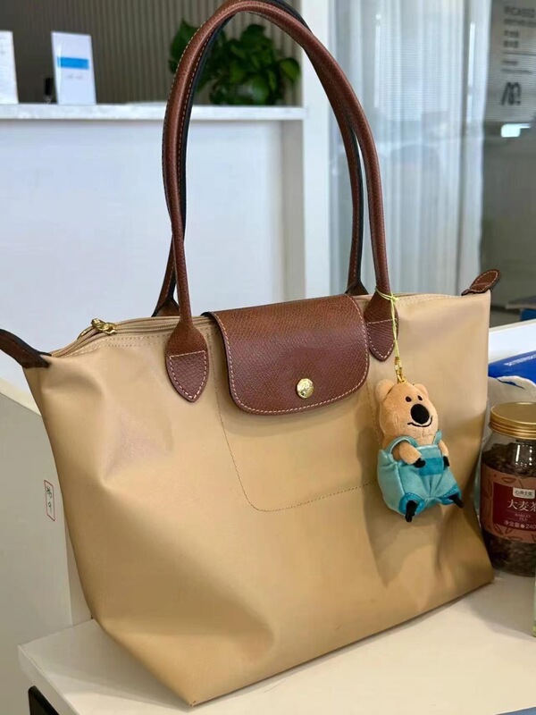 フランス龍包70周年刺繍餃子包片肩包手提げ特包ナイロン包折り畳み女包|undefined