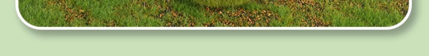 O1CN01jUFPsy1L1y4VanNfO_!!4204371240-0-cib.jpg?__r__=1713951783655