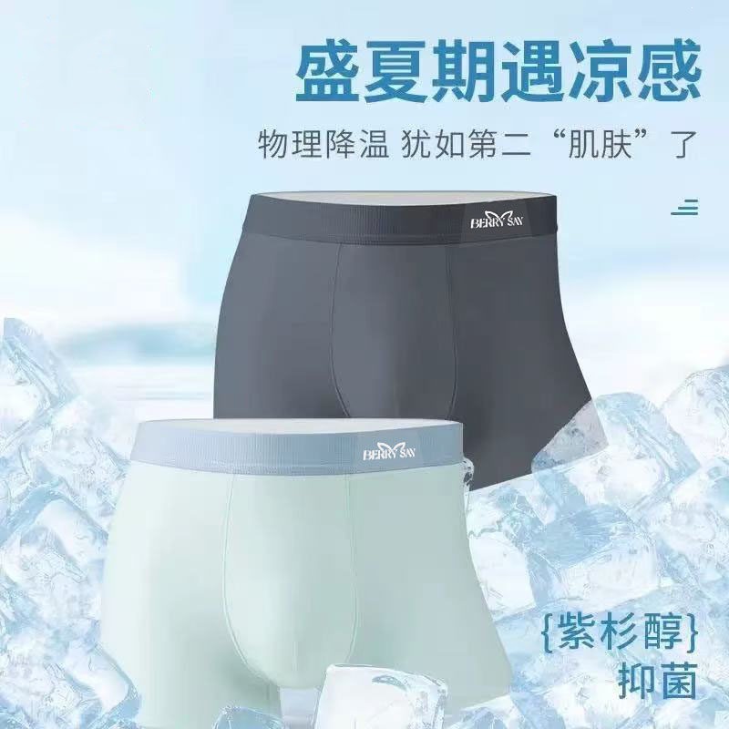 Briefs
