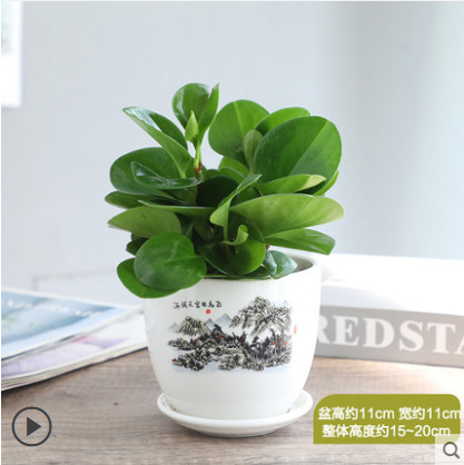 재스퍼 바다와 하늘 세라믹 세면대]