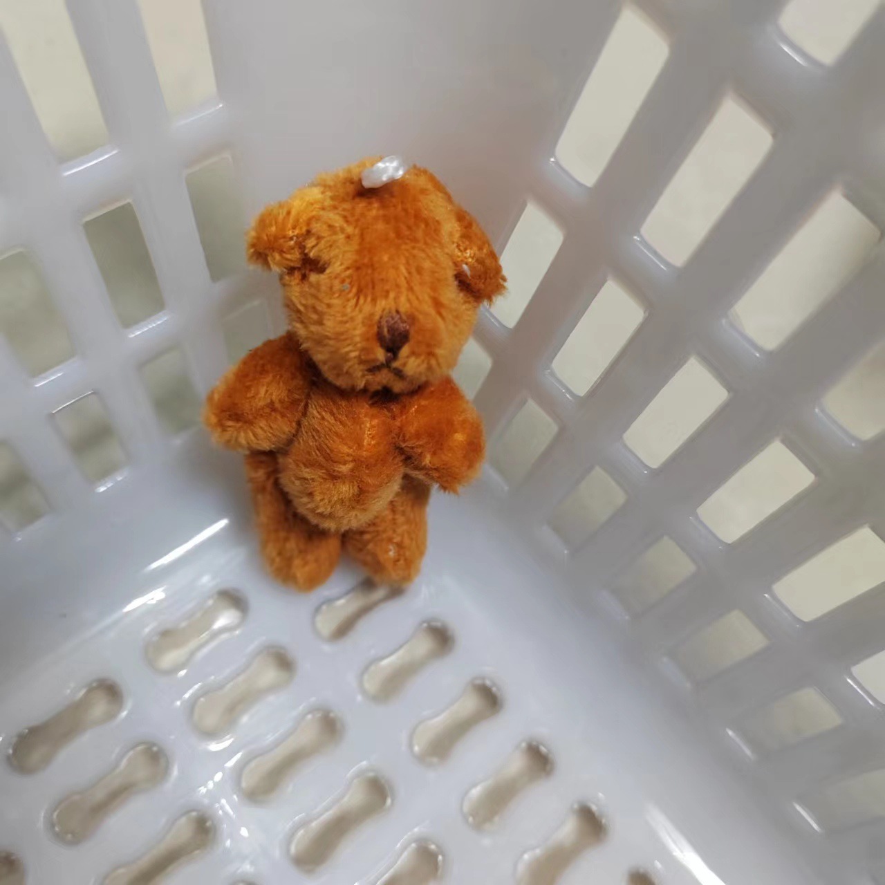 微信图片_20240306130038