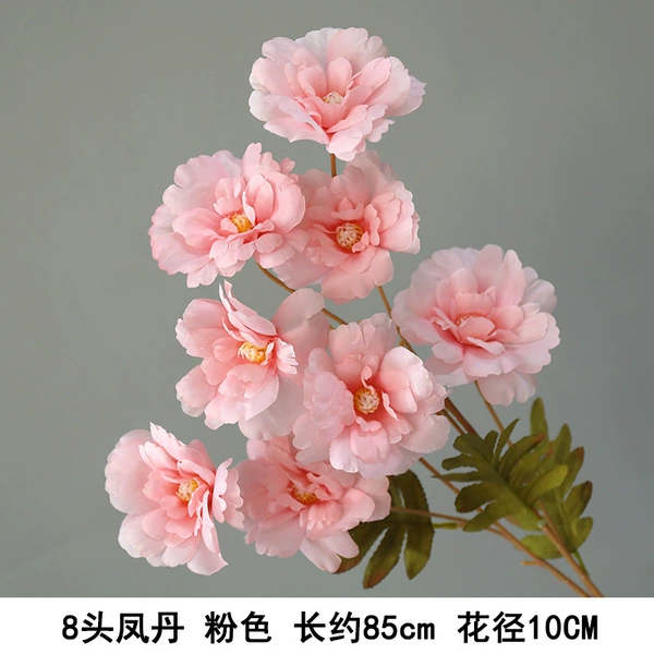 8 heads Fengdan pink